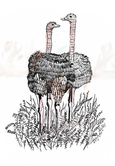 Flamingos, 2018 by Charlotte Orr