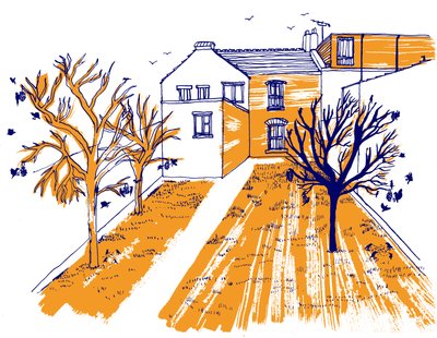 Garden by Charlotte Orr