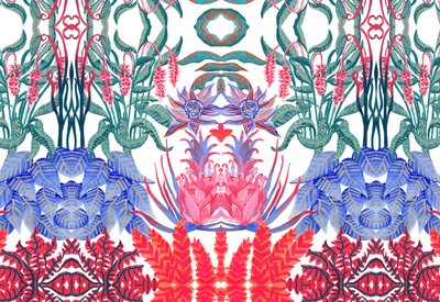 Jungle Jim, 2015 by Charlotte Orr