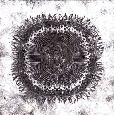 Plant Cells, 2019 by Charlotte Orr