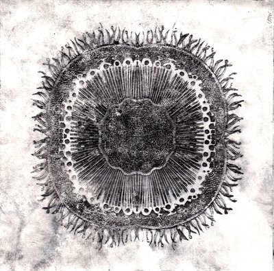 Plant Cells by Charlotte Orr