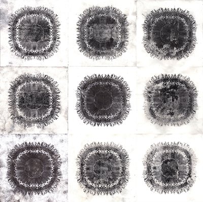 Plant Cells, 2019 by Charlotte Orr