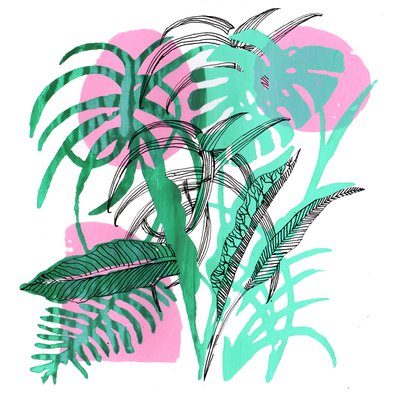 Tropical Plants, 2018 by Charlotte Orr
