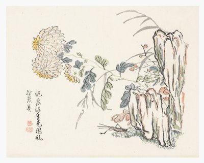 Chrysanthemum, Mustard Seed Garden Manual by Cheng An (after)