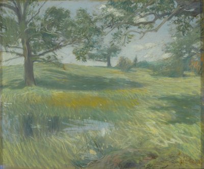 Meadows (c.1900-10) by Childe Frederick Hassam