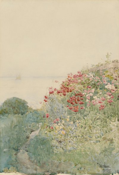 Field of Poppies, Isles of Shoals by Childe Hassam