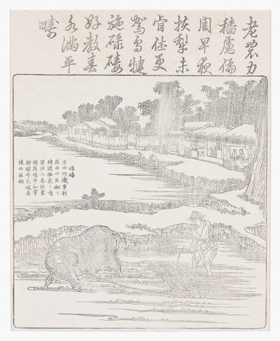 Harrowing the rice paddy, 18th century by Chinese School