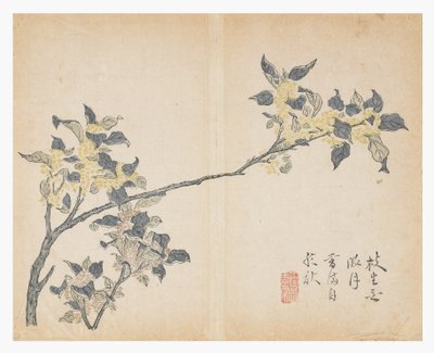 Mustard Seed Garden by Chinese School