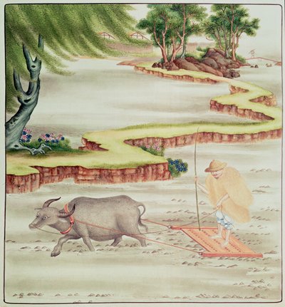 Peasant working in the paddy fields by Chinese School