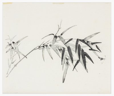 Ten Bamboo Series, 18th century by Chinese School