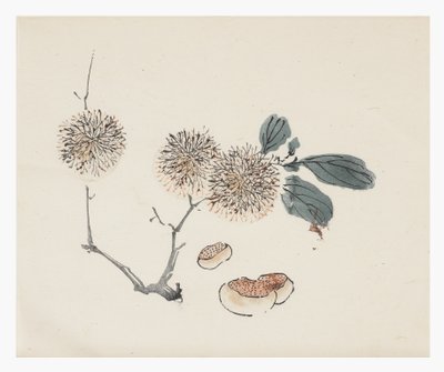 Ten Bamboo Series, 18th century by Chinese School