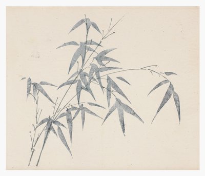 Ten Bamboo Series, 18th century by Chinese School