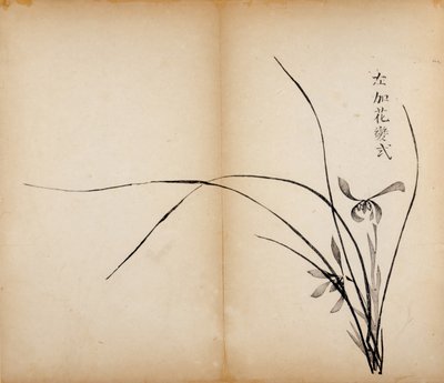 Ten Bamboo Studio Prints by Chinese School