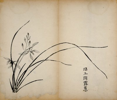 Ten Bamboo Studio Prints by Chinese School