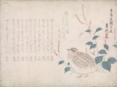 Quail by Chokko Roshû