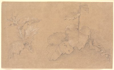 Plant Studies by Christen Købke