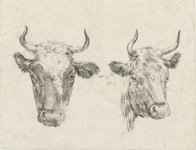 Two Cow Heads by Christiaan Godfried Schutze van Houten