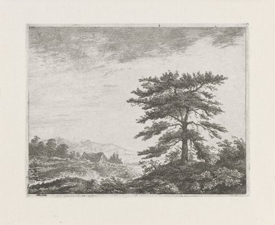 Tree in a Heath Landscape by Christiaan Wilhelmus Moorrees