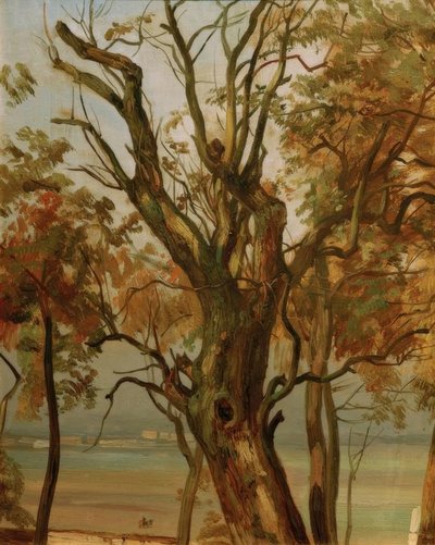 Tree Study in Autumn (Elbe Bank near Dresden) by Christian Friedrich Gille