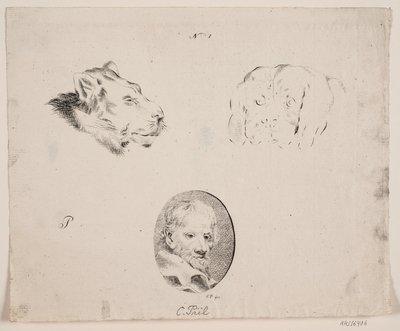 Sample Sheet with Man