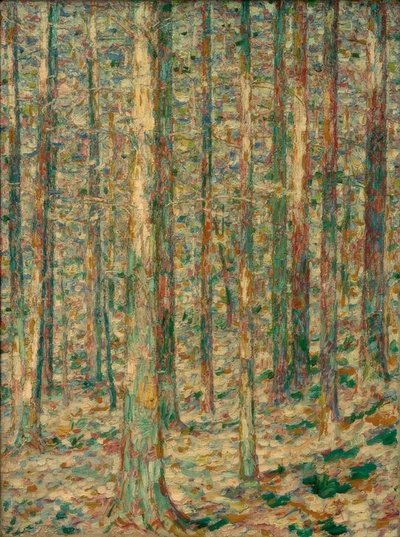 Pine Trunks in Sunlight by Christian Rohlfs