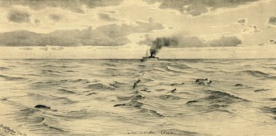 Steamship on the Indian Ocean by Christian Wilhelm Allers