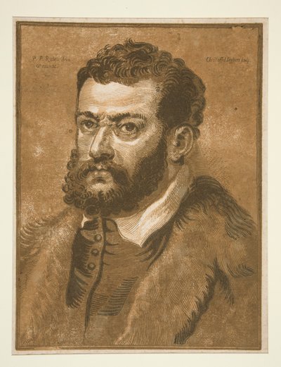 Portrait of a Bearded Man by Christoffel Jegher