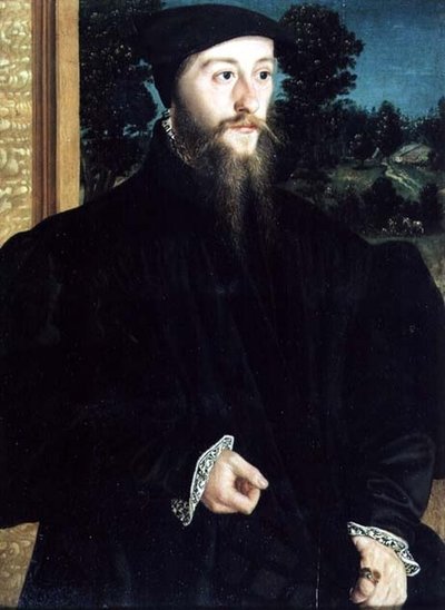 Portrait of a Bearded Gentleman by Christoph Amberger