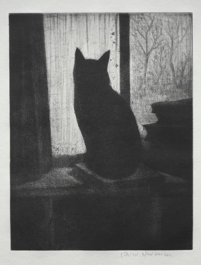 The Cat by Christopher Richard Wynne Nevinson