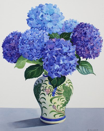 Blue Hydrangeas by Christopher Ryland