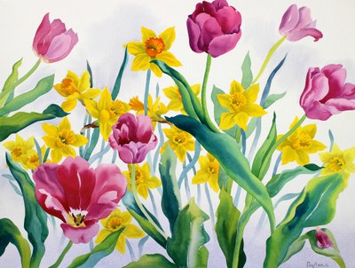 Daffodils and Tulips by Christopher Ryland