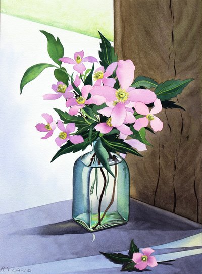 Still Life Pink Clematis by Christopher Ryland