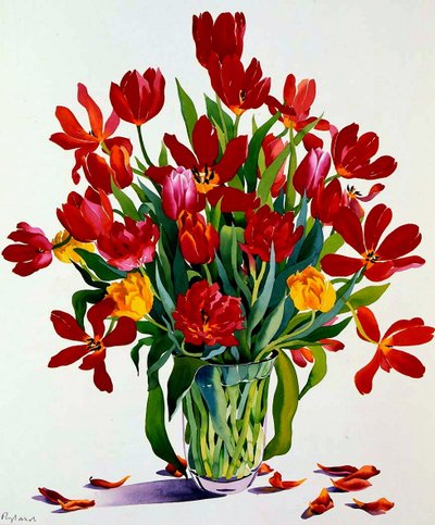 Tulips by Christopher Ryland