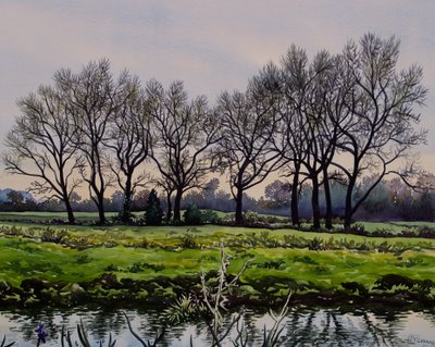 Winter Trees by Christopher Ryland