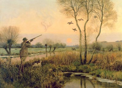 Duck Shooting by Christopher William Strange