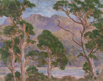 Cader Idris by Christopher Williams