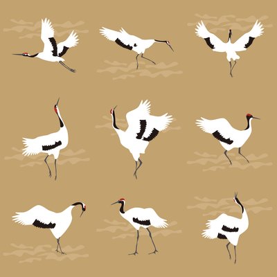 Oriental Cranes by Claire Huntley