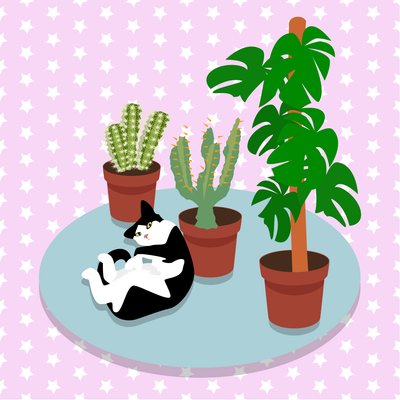The Cat and the Cacti by Claire Huntley