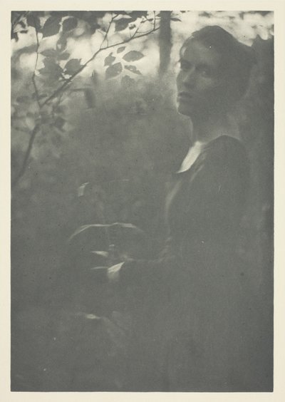 Edge of Woods by Clarence H. White