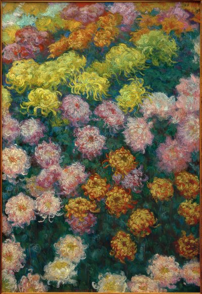 Chrysanthemum Bed, 1897 by Claude Monet