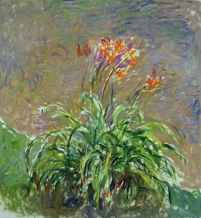 Hemerocallis by Claude Monet