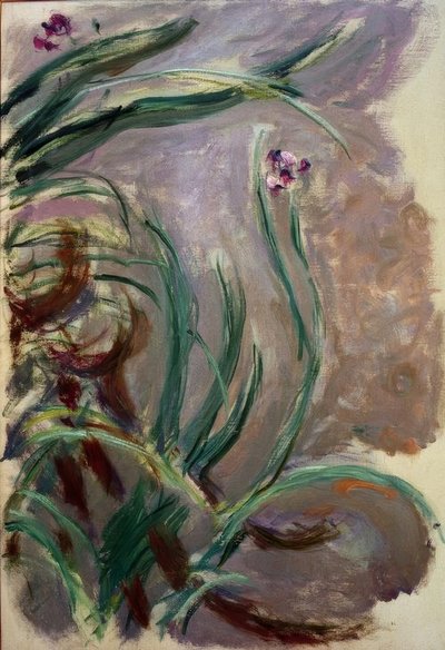Irises by Claude Monet