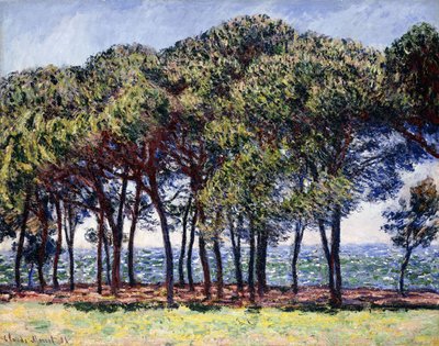 Pines, Cap d