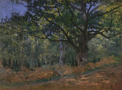 The Bodmer Oak, Fontainebleau Forest by Claude Monet