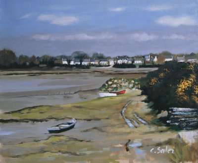 Bamastere, Morbihan by Claude Salez