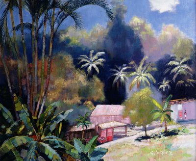 Tropical Forest, Martinique by Claude Salez
