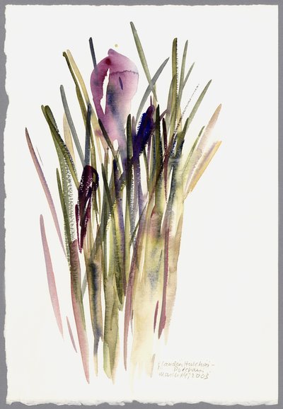 Crocus, 2003 by Claudia Hutchins Puechavy
