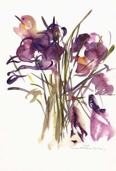 Crocus by Claudia Hutchins Puechavy