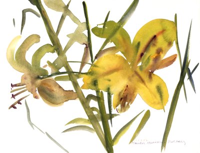Lilies by Claudia Hutchins Puechavy