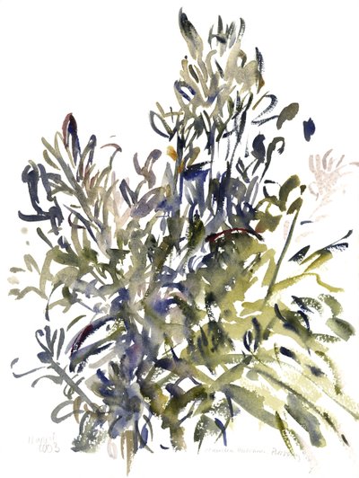 Senecio and other plants, 2003 by Claudia Hutchins Puechavy